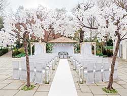 Oak gazebo 227